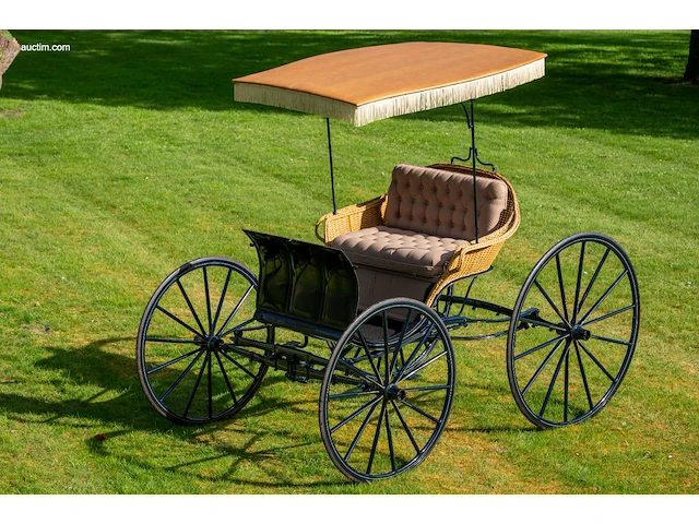 American ladies phaeton - afbeelding 11 van  18