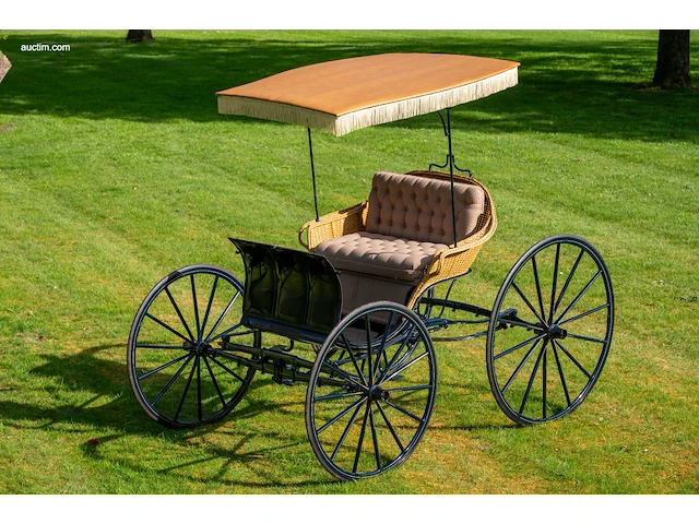American ladies phaeton - afbeelding 12 van  18