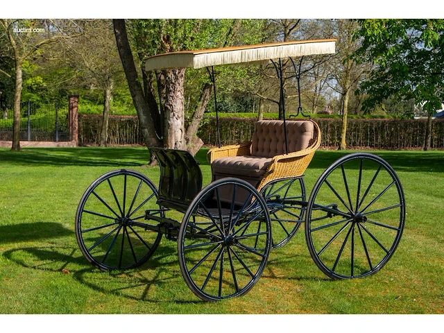 American ladies phaeton - afbeelding 13 van  18