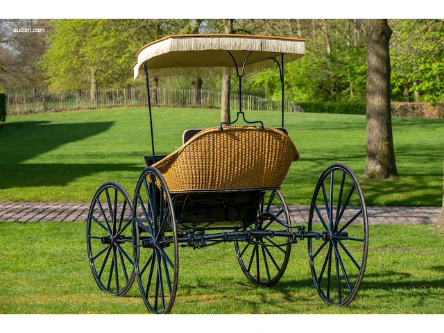 American ladies phaeton - afbeelding 18 van  18
