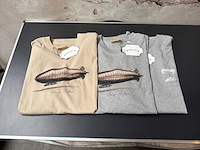 Amisi t-shirt (3x) - afbeelding 1 van  4