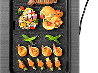 Amzchef inductiekookplaat (2 zones)