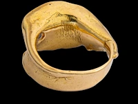 An 18ct yellow gold organic shaped ring, set with a diamond, designed by jewellers krista & grety vandevelde, grimbergen - brussels, weight: 15,1 g - afbeelding 6 van  7