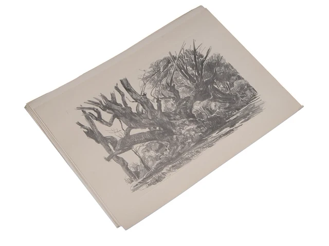 An art folder containing 38 graphic works after ljubomir ljuba ivanovic (1882-1945), 1952 - afbeelding 13 van  17