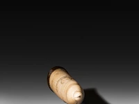 An engraved phallic ivory snuffbox with a brass end and screw lid with an acorn, english, 19thc, h 21,5 cm - w 4,5 cm - d 3,5 cm - 190g (+) - afbeelding 5 van  8