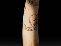 An engraved phallic ivory snuffbox with a brass end and screw lid with an acorn, english, 19thc, h 21,5 cm - w 4,5 cm - d 3,5 cm - 190g (+) - afbeelding 7 van  8