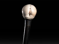 An erotic walking stick with an ivory handle depicting a woman's behind, english, ca. 1900, total h 94 cm - ivory ø 4,5 cm - total weight 298g (+)