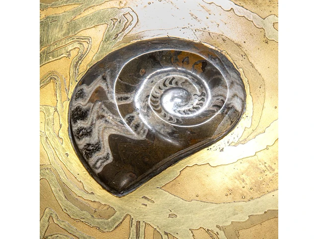 An exceptional ammonite-shaped coffee table by marc dhaenens, etched brass tabletop with a workd-in fossilised ammonite 38 x 129 x 104 cm. (14.96 x 50.78 x 40.93 in.) - afbeelding 2 van  10