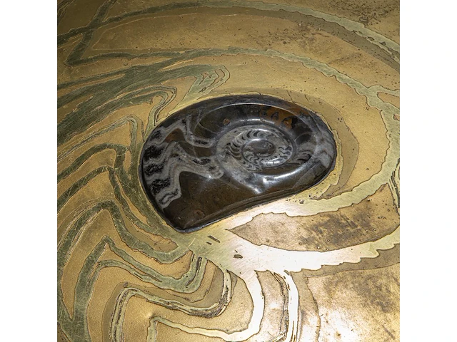 An exceptional ammonite-shaped coffee table by marc dhaenens, etched brass tabletop with a workd-in fossilised ammonite 38 x 129 x 104 cm. (14.96 x 50.78 x 40.93 in.) - afbeelding 10 van  10