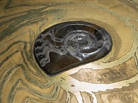 An exceptional ammonite-shaped coffee table by marc dhaenens, etched brass tabletop with a workd-in fossilised ammonite 38 x 129 x 104 cm. (14.96 x 50.78 x 40.93 in.) - afbeelding 10 van  10