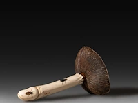 An ivory shibayama inlaid sculpture of a mushroom with a phallus as the stem, signed with faux japanese characters, 19thc, h 10 cm - w 6 cm - d 5,5 cm - 79g (+)