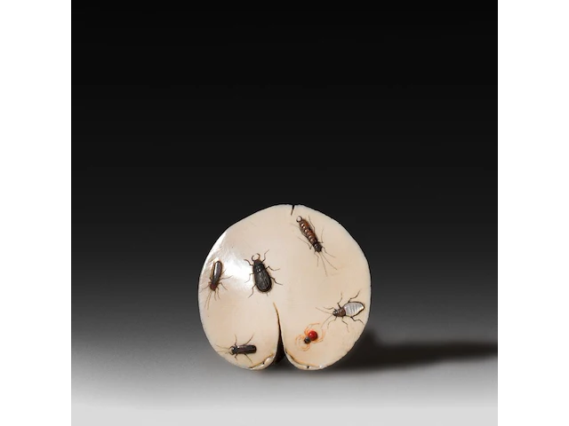 An ivory shibayama inlaid sculpture of a mushroom with a phallus as the stem, signed with faux japanese characters, 19thc, h 10 cm - w 6 cm - d 5,5 cm - 79g (+) - afbeelding 2 van  6