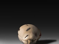 An ivory shibayama inlaid sculpture of female genitalia represented as a pear, the stem in the shape of a phallus, 19thc, h 11,5 cm - w 6,5 cm - d 5,5 cm - 223g (+) - afbeelding 5 van  5