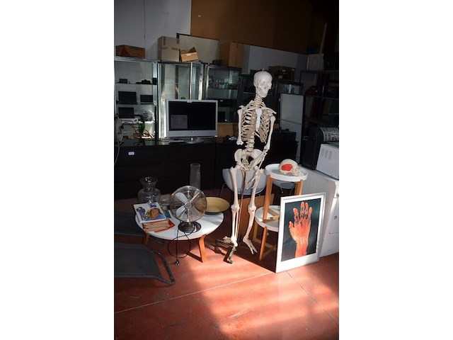 Anatomisch skelet met extra schedel, ronde salontafel met wit blad, 2 ronde bijzettafels met wit blad, ventilator aerian, 7 wandversieringen, partij stipverhalen suske & wiske, 2 vazen - afbeelding 4 van  19