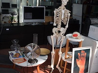 Anatomisch skelet met extra schedel, ronde salontafel met wit blad, 2 ronde bijzettafels met wit blad, ventilator aerian, 7 wandversieringen, partij stipverhalen suske & wiske, 2 vazen - afbeelding 4 van  19