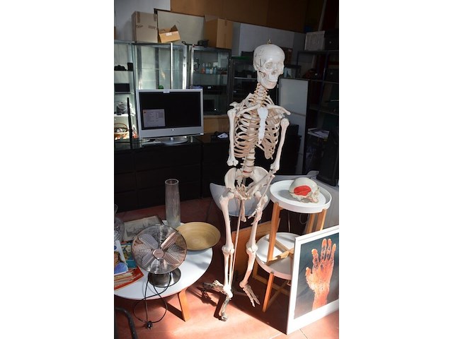 Anatomisch skelet met extra schedel, ronde salontafel met wit blad, 2 ronde bijzettafels met wit blad, ventilator aerian, 7 wandversieringen, partij stipverhalen suske & wiske, 2 vazen - afbeelding 5 van  19