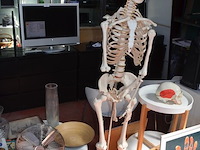 Anatomisch skelet met extra schedel, ronde salontafel met wit blad, 2 ronde bijzettafels met wit blad, ventilator aerian, 7 wandversieringen, partij stipverhalen suske & wiske, 2 vazen - afbeelding 5 van  19
