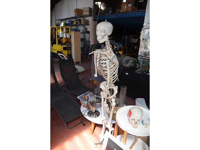 Anatomisch skelet met extra schedel, ronde salontafel met wit blad, 2 ronde bijzettafels met wit blad, ventilator aerian, 7 wandversieringen, partij stipverhalen suske & wiske, 2 vazen - afbeelding 6 van  19
