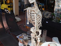 Anatomisch skelet met extra schedel, ronde salontafel met wit blad, 2 ronde bijzettafels met wit blad, ventilator aerian, 7 wandversieringen, partij stipverhalen suske & wiske, 2 vazen - afbeelding 6 van  19