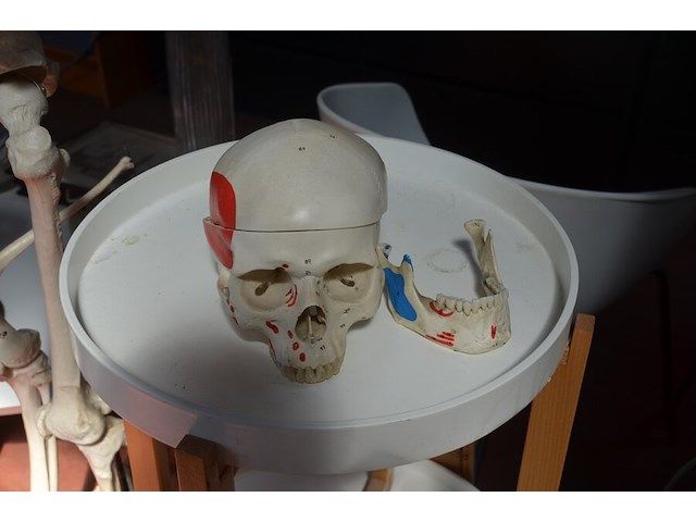 Anatomisch skelet met extra schedel, ronde salontafel met wit blad, 2 ronde bijzettafels met wit blad, ventilator aerian, 7 wandversieringen, partij stipverhalen suske & wiske, 2 vazen - afbeelding 7 van  19