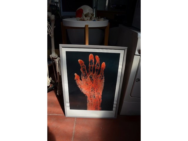 Anatomisch skelet met extra schedel, ronde salontafel met wit blad, 2 ronde bijzettafels met wit blad, ventilator aerian, 7 wandversieringen, partij stipverhalen suske & wiske, 2 vazen - afbeelding 8 van  19