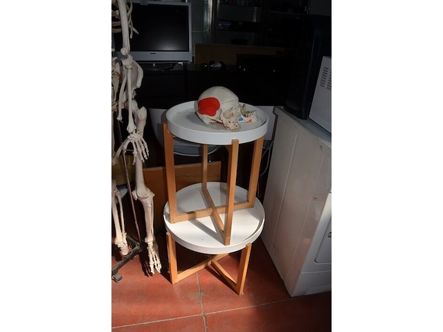 Anatomisch skelet met extra schedel, ronde salontafel met wit blad, 2 ronde bijzettafels met wit blad, ventilator aerian, 7 wandversieringen, partij stipverhalen suske & wiske, 2 vazen - afbeelding 9 van  19