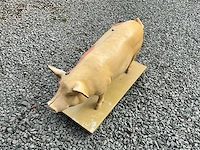 Anatomische onderwijsmodellen van een varken - afbeelding 2 van  6