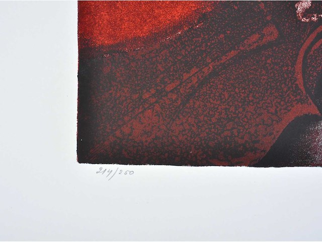 Andre goezu - zeefdruk - afbeelding 5 van  7