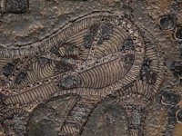 Andrea capucci (1965), untitled, ceramic plaque 33 x 33 cm. (12.99 x 12.99 in.) - afbeelding 2 van  10