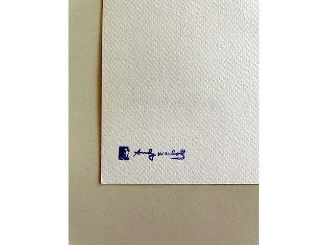 Andy warhol - panda - afbeelding 5 van  5