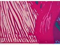 Andy warhol (naar) - the scream - zeefdruk - ingelijst - afbeelding 2 van  9