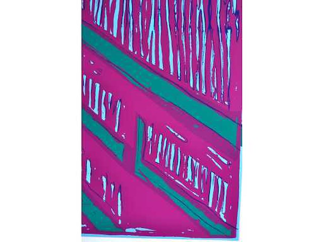 Andy warhol (naar) - the scream - zeefdruk - ingelijst - afbeelding 3 van  9