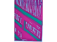 Andy warhol (naar) - the scream - zeefdruk - ingelijst - afbeelding 3 van  9