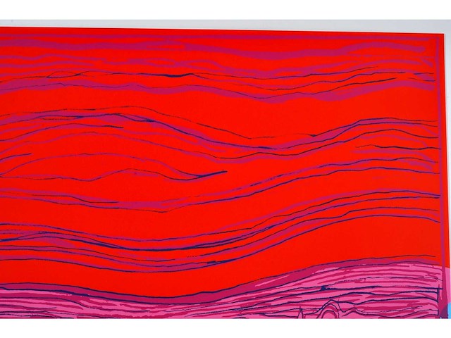 Andy warhol (naar) - the scream - zeefdruk - ingelijst - afbeelding 4 van  9