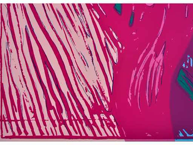 Andy warhol (naar) - the scream - zeefdruk - ingelijst - afbeelding 2 van  9