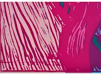 Andy warhol (naar) - the scream - zeefdruk - ingelijst - afbeelding 2 van  9