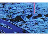 Andy warhol (naar) - top ingelijst! - afbeelding 7 van  10