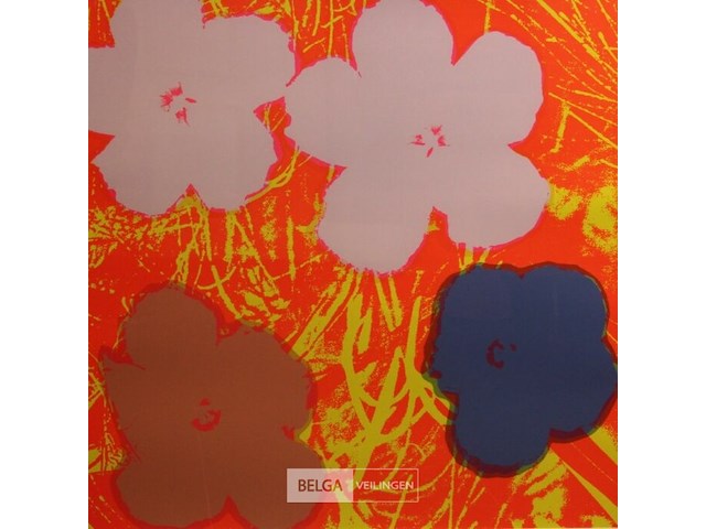 Andy warhol xl - afbeelding 2 van  2