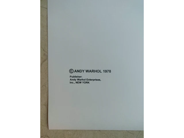 Andy warhol - afbeelding 10 van  13
