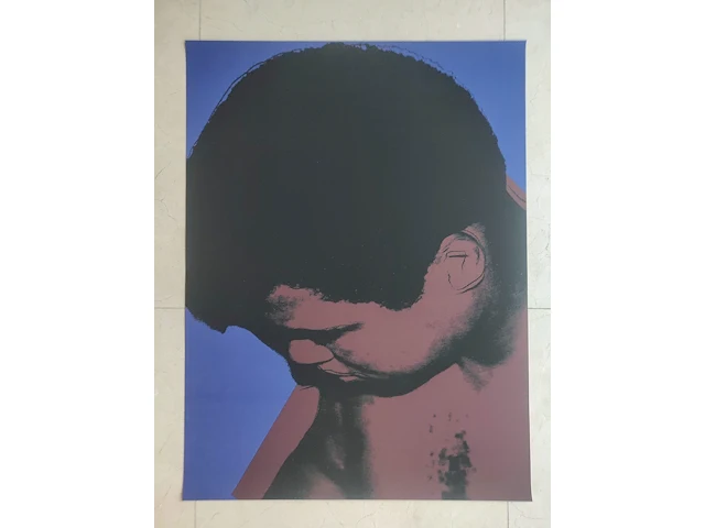 Andy warhol - afbeelding 12 van  13