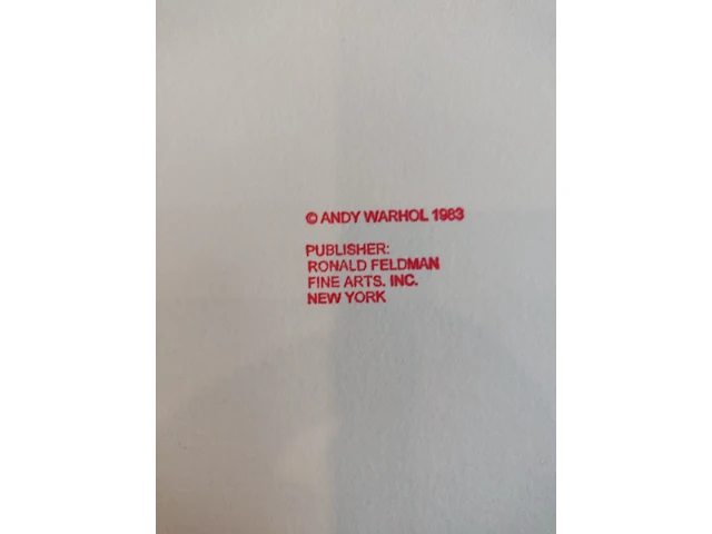 Andy warhol - afbeelding 6 van  7
