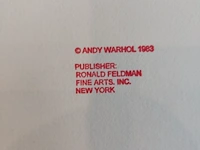 Andy warhol - afbeelding 6 van  7