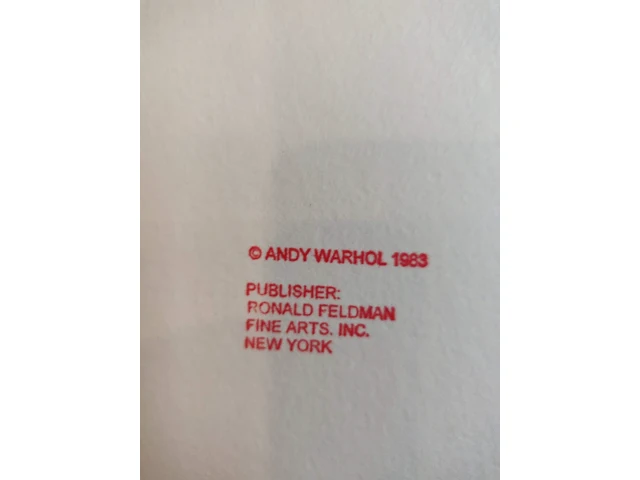 Andy warhol - afbeelding 7 van  7