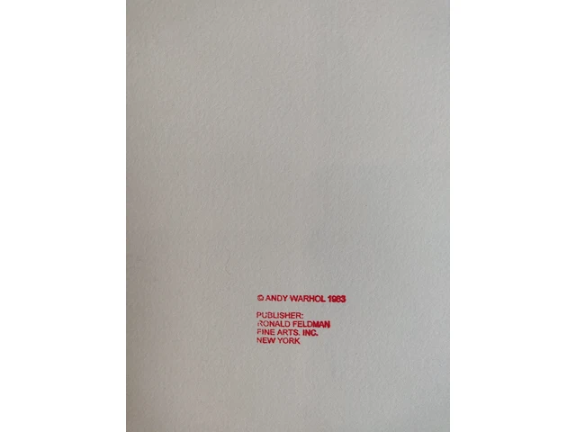 Andy warhol - afbeelding 6 van  7