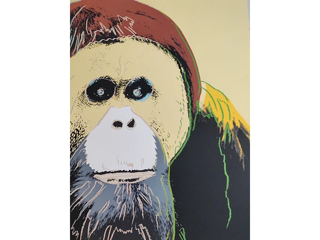 Andy warhol - afbeelding 1 van  6