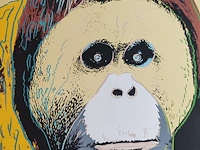 Andy warhol - afbeelding 2 van  6