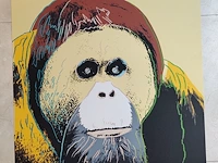 Andy warhol - afbeelding 3 van  6