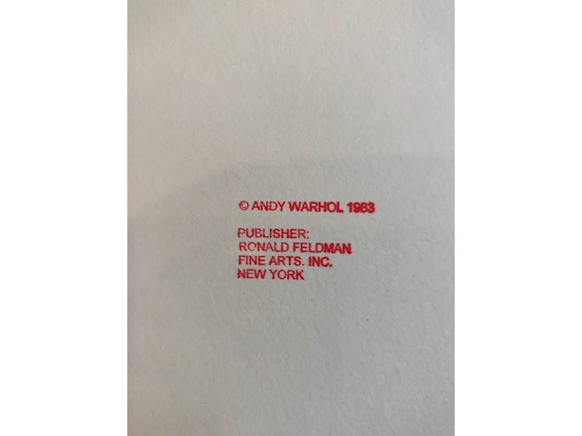 Andy warhol - afbeelding 6 van  6