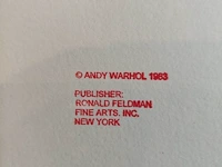 Andy warhol - afbeelding 6 van  6