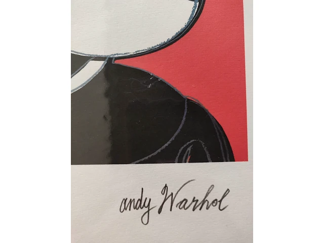 Andy warhol - afbeelding 4 van  5